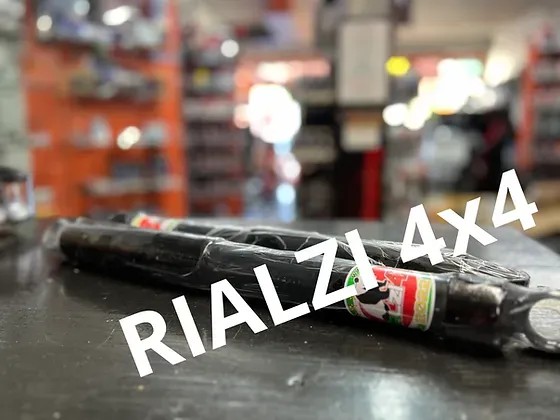 Ammortizzatori posteriori panda  2wd 5 cm